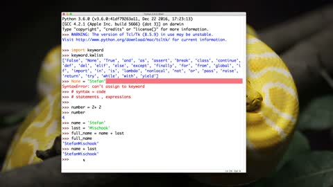 PYTHON_PRO_32._nerd_words-_keywords,_syntax,_statements_and_expressions (1080p)