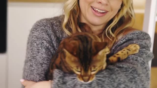 So beautiful cat video 😻