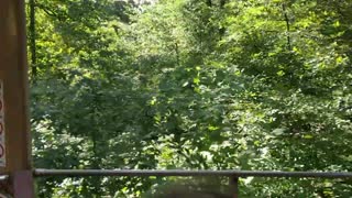 Spencer at the Bronx Zoo VID 20190907 154722