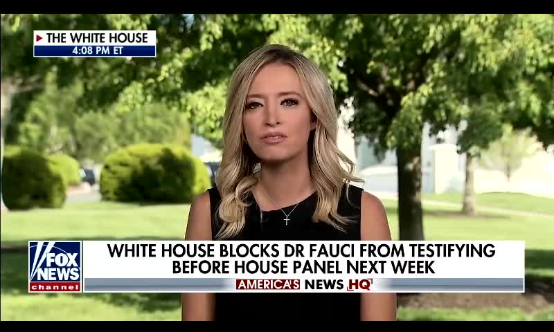 Kayleigh McEnany pushes back on "blocked" Fauci claim