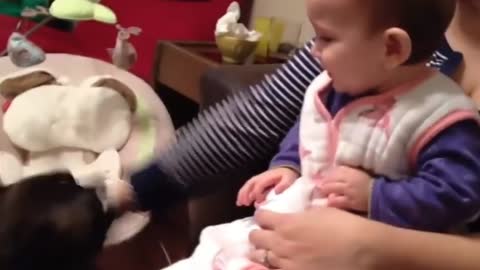 Funny Babies Laughing Hysterically at Dogs Compilation #2