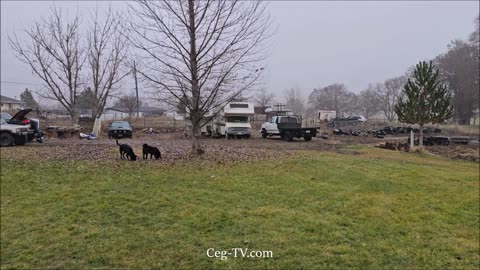 Graham Family Farm: 10 AM December 13th 2024