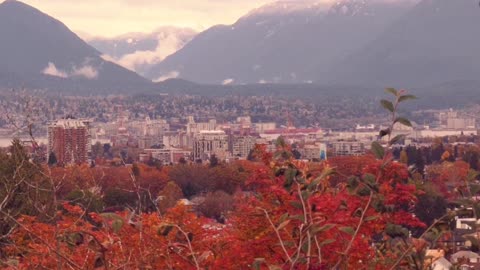 View "十月秋天的感觉真好10/31/2024🍁🍁🍂🍂🇨🇦"