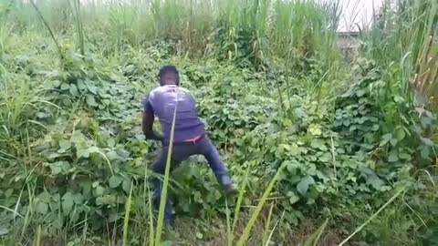 Hot sex in the bush
