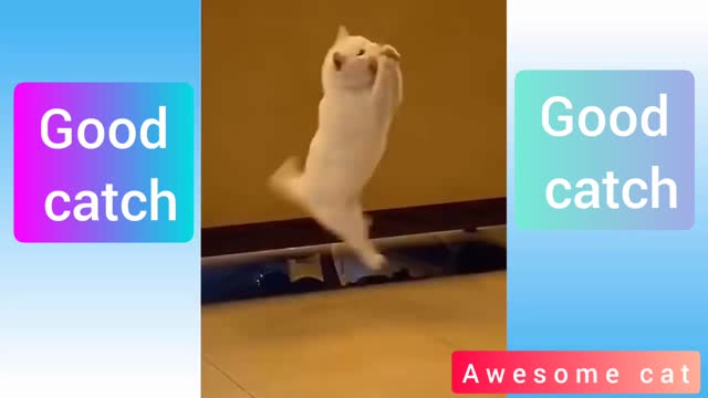 Good catch