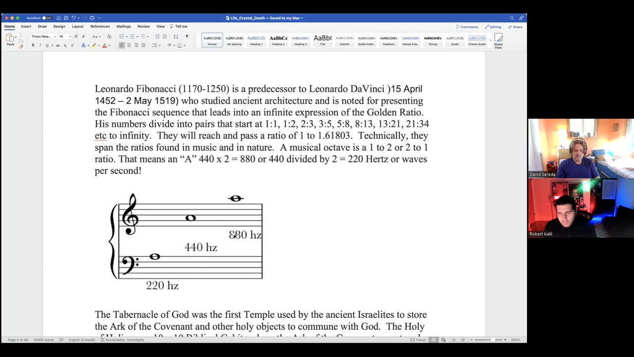 Venus Portal, Anti Matter Planets, Simulation - David Sereda TSP 905