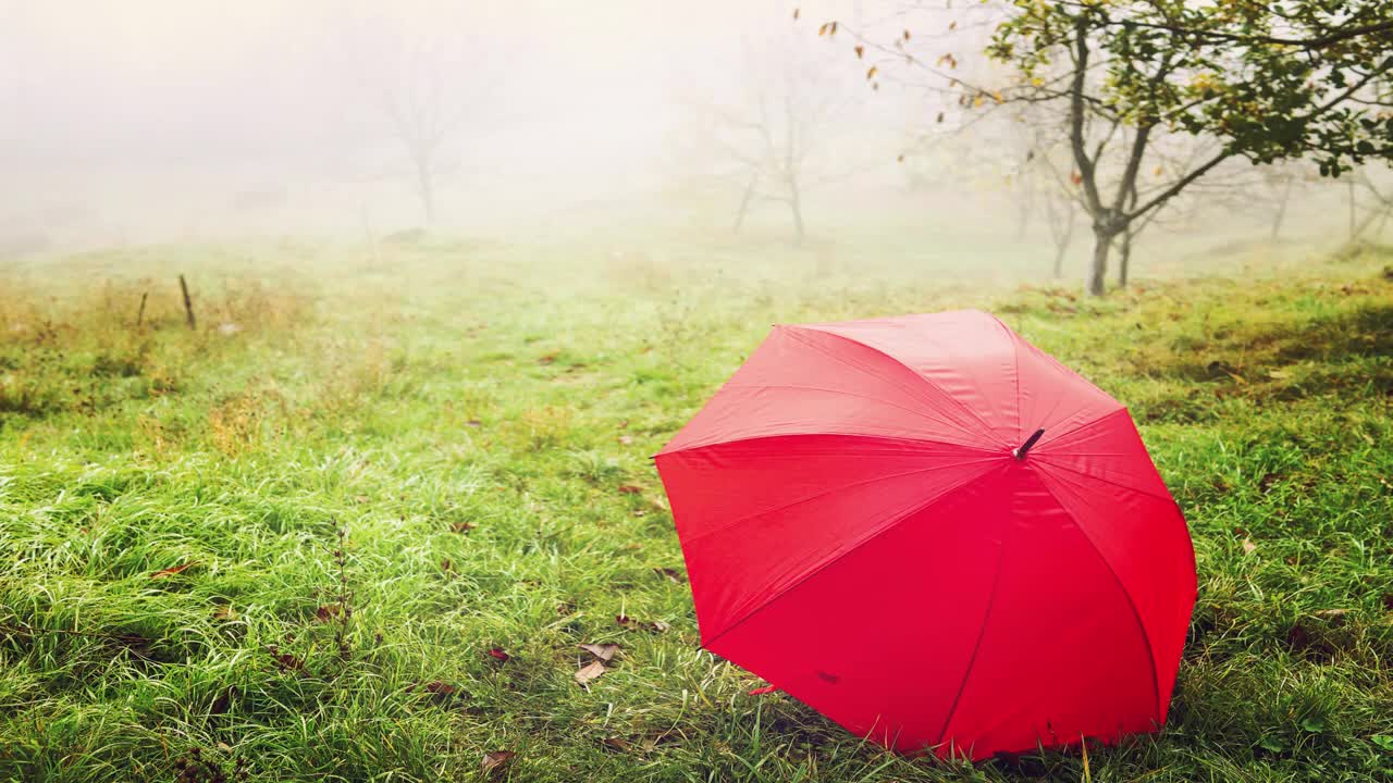 5 HOURS Relaxing Rain Nature Sounds for Sleep, Study Relaxing with Gentle Thunder