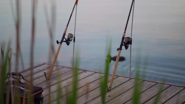 Fishing video sea