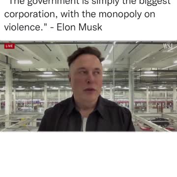 Elon Musk comment on the government
