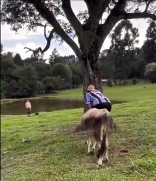 🤣🤣🤣 Giusto per ridere / Just for laugh