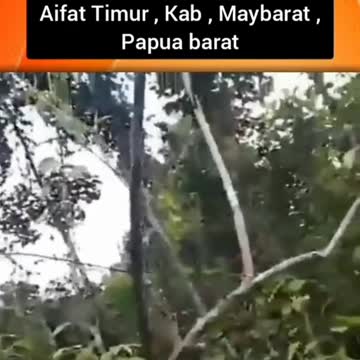 27 July 2022, Indonesian special forces were attacked by Papuan KKB troops