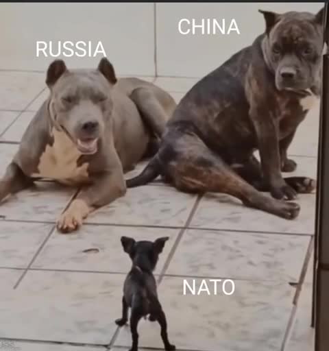 WATCH THE REPTO PEDO HUNTERS