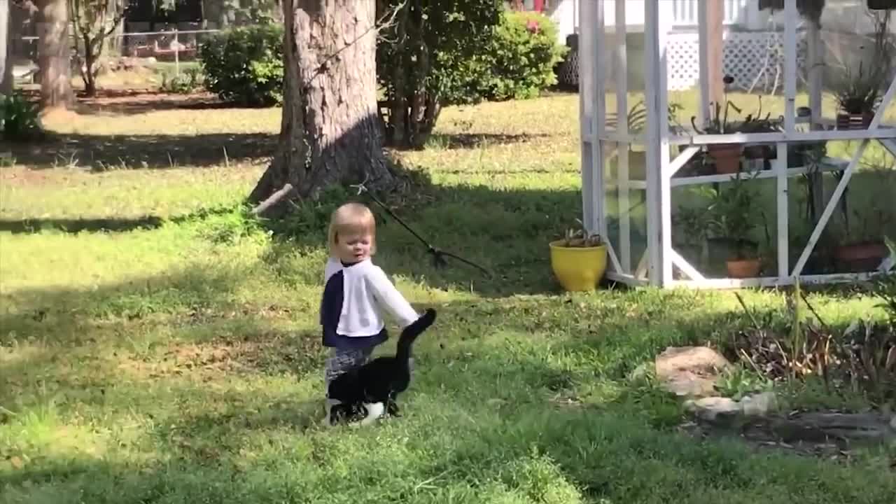 Addorable baBY playing with dog and CAT ..funny moments with cutebaby