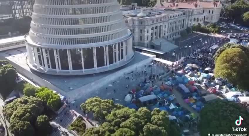 New Zealand Freedom Camp BLOCKING the Governmental buildings