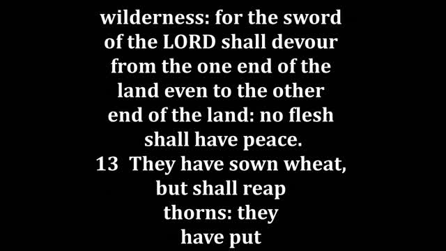 Jeremiah 12 King James version