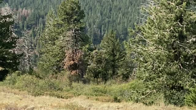 Warning! To the Patriots! Warning! Be vigilant and ready!