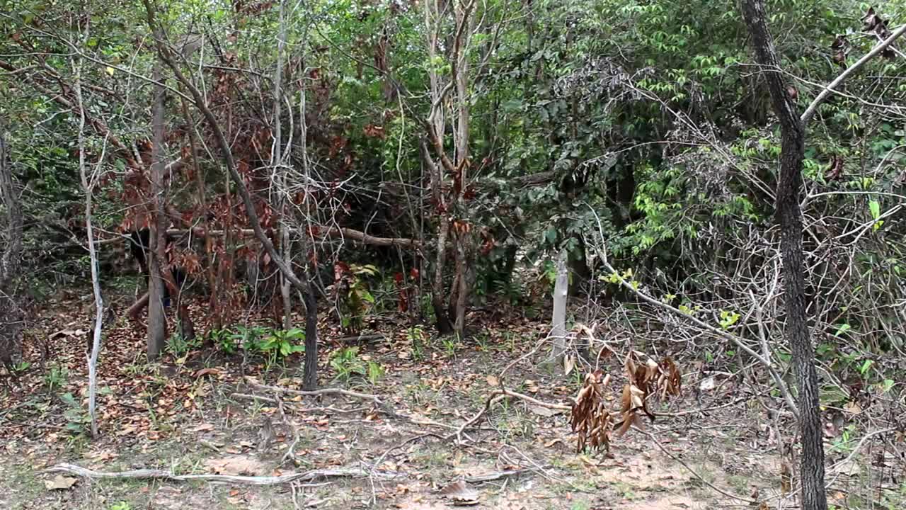 Build reusable charcoal mound