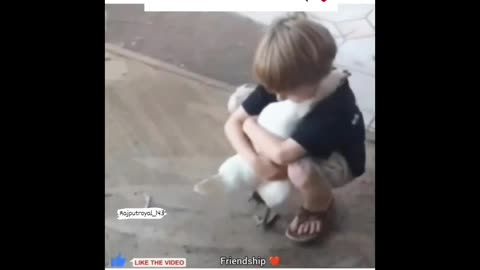Animal love