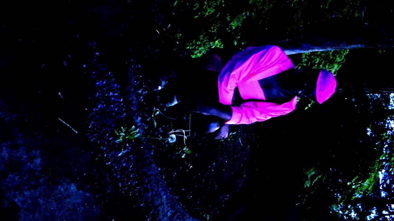 Elia Green: Human Animal (video from "Flowering," a fashion film for Gogo Graham)