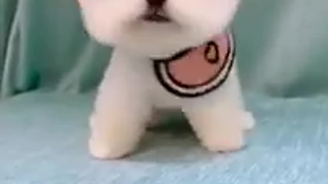 Quite puppies Video