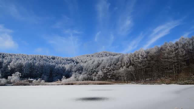 Recite a piece of snow, pure and crystal clear, recite a piece of the past, and settle down safely.