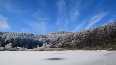 Recite a piece of snow, pure and crystal clear, recite a piece of the past, and settle down safely.