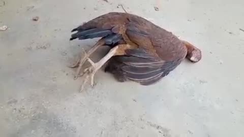 Life is hard without a mother