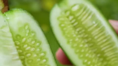 🌿Grow Guava Tree Faster with These Pro Tips using Cucumber🥒#guava #fruittree