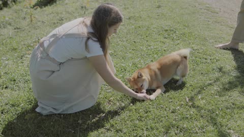 CouplePlaying with Their Pet Dog