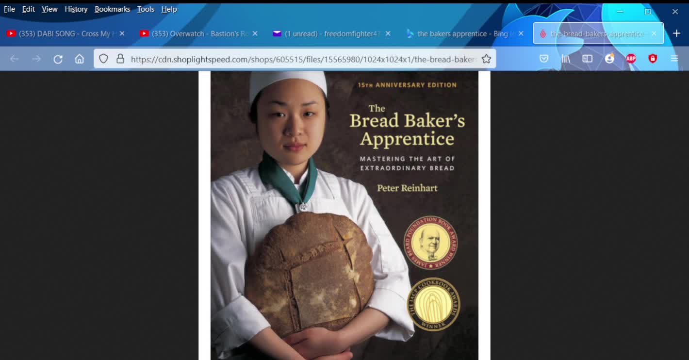 Yesterday's Books : The Bread Bakers Apprentice