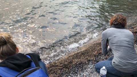 Day 2, 06: Sea of Galilee, Part 2