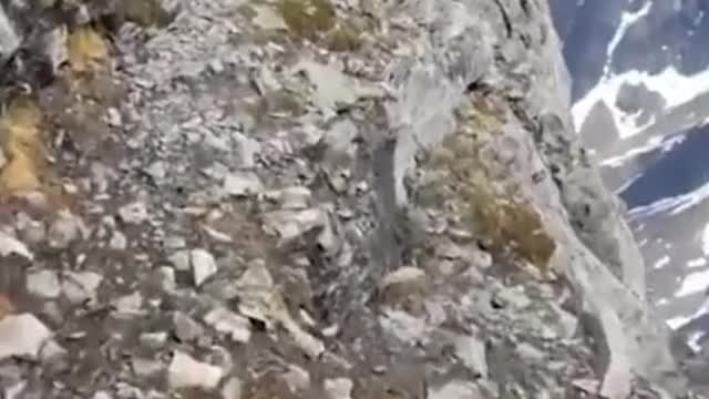 Walking on the cliff