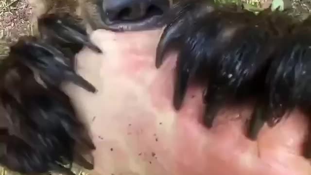What does this noise remind you of