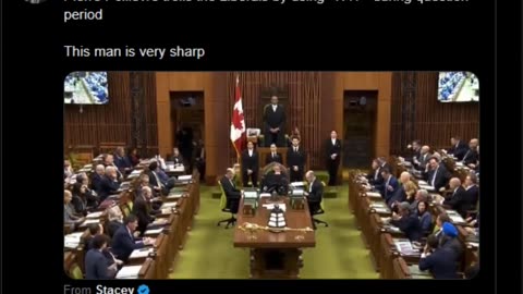 Pierre Poilievre trolls the Liberals by using "WTF" during question period