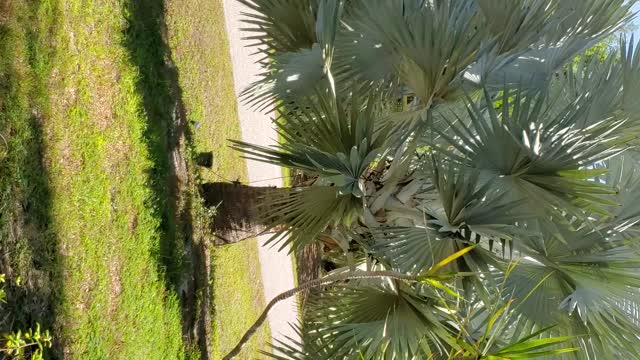 Harbor Freight 3kw Solar System Review.