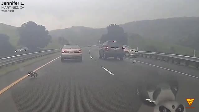 First time I've witnessed an accident and called 911. 2021.03.18 — MARTINEZ, CA