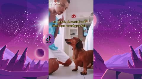 Os melhores do TikTok Brasil 4