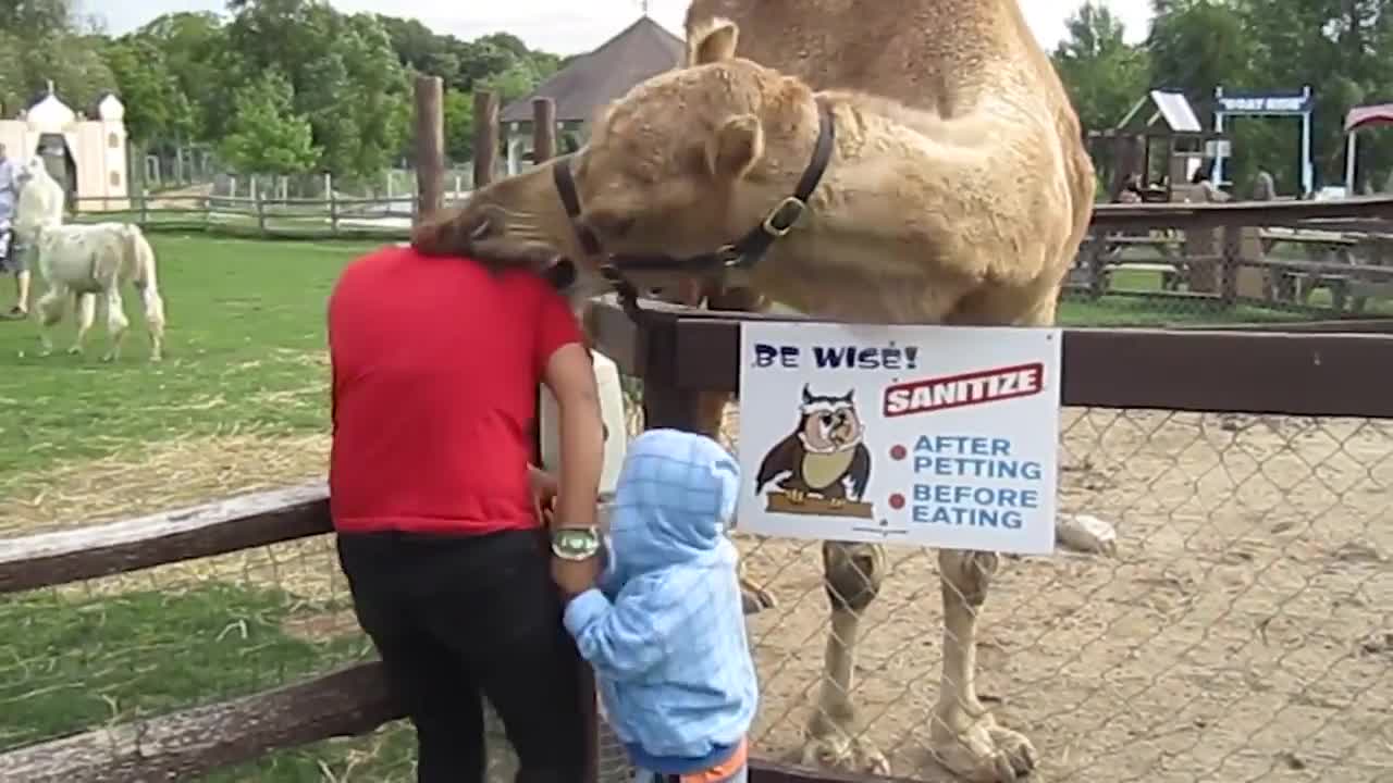 Funny video march,2021/laughing is the best medicine,,