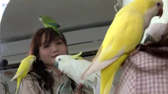 Bangkok café lets customers interact with birds