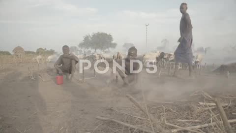 fields cleaning