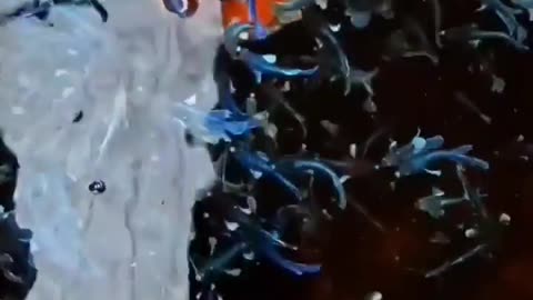 This is a beautiful and charming water-dwelling species