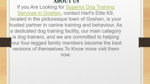 Superior Dog Training Services in Goshen