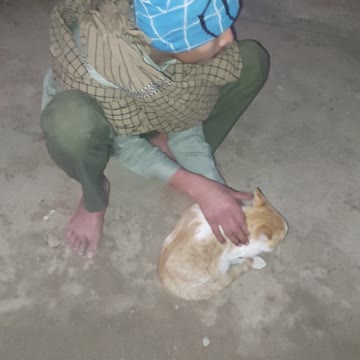 Very nice Cate### 🐈🐈🐈