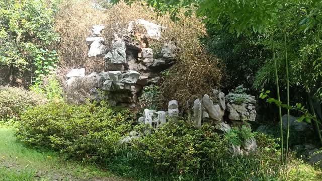 This rockery is covered with bamboo