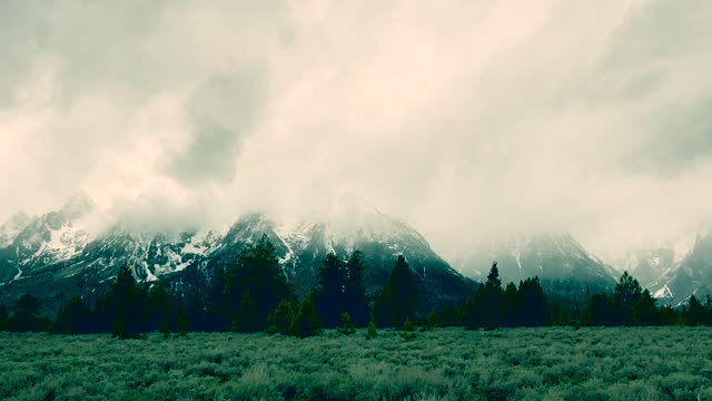 Yellowstone, Grand Teton National Park