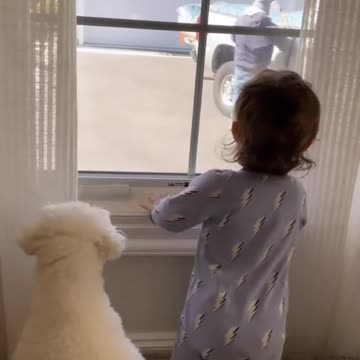 😍🐶😍🐶😍🐶😍