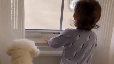 😍🐶😍🐶😍🐶😍