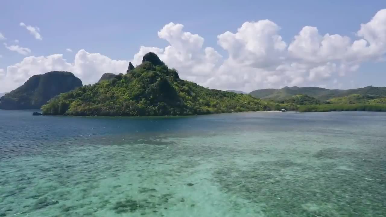 Metical creatures exist in the wild