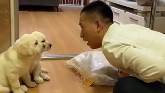 Emotions of a mother see the full video once then you will be realised.😭