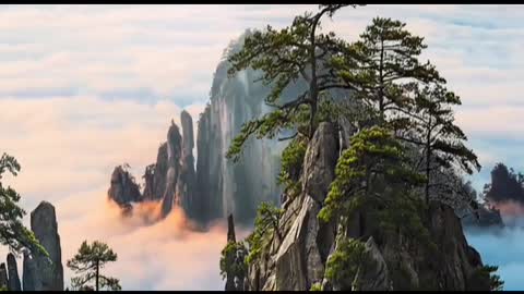 Use your feet to measure the world, and use your eyes to record the scenery.